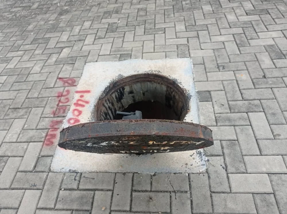 UMAP Activity - umap (32)